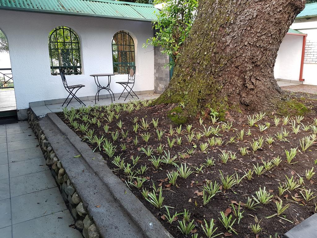 Sherwood'S Country House Tzaneen Kültér fotó